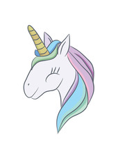 Illustration with a magic animal unicorn. illustration