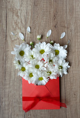 St. Valentines day gretting card. I love You. Chamomile flowers in red envelope on a wooden background. Spring flowers. March 8th, mother's day, International Women's Day. Letter love. Top view.