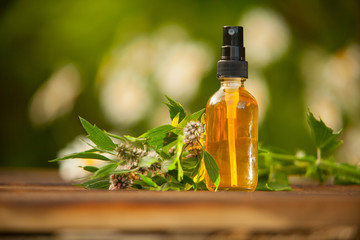 motherwort essential oil in  beautiful bottle on table