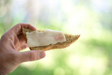 sandwich with salted lard in hand on a green background.