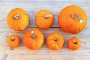 Orange pumpkins collection.