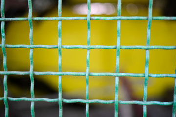 green cage mesh in zoo against bokeh background.
