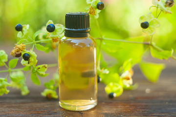 belladonna essential oil in  beautiful bottle on table