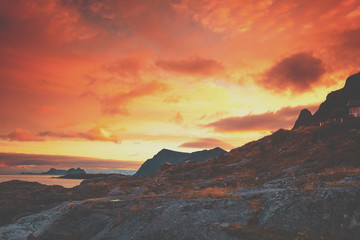 Fototapeta na wymiar Rocky seashore in the evening. Sunset over the beautiful bay. Beautiful wild nature of Norway, Lofoten islands
