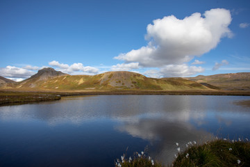 Naklejka premium Iceland. View of the fjords. warm sunny summer day