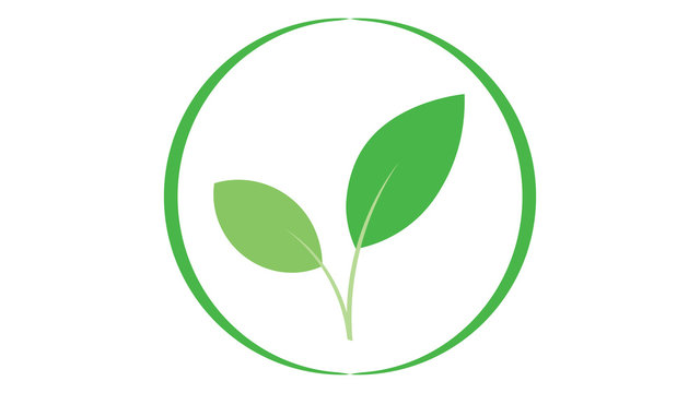Leaf icon vector design. Leaf logo.