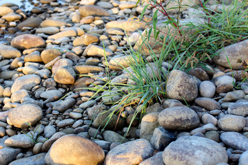 Stones and grass