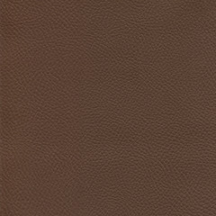 Brown leather background surface. Vintage fashion background for designers and composing collages. Luxury textured genuine leather of high quality.