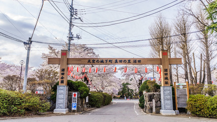 春の沼田城址の風景