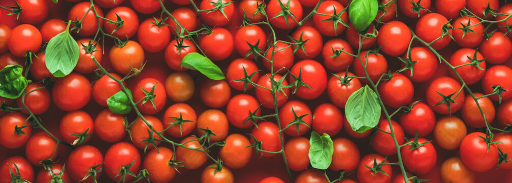 Cherry Tomaten hintergrund panoramma