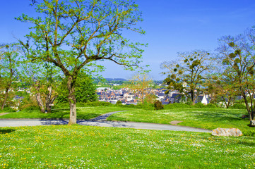 Nice lonely empty small park in Saumur