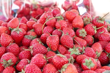 Fresh strawberry at street food