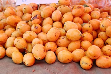 Marian plum fruit - asia fruit