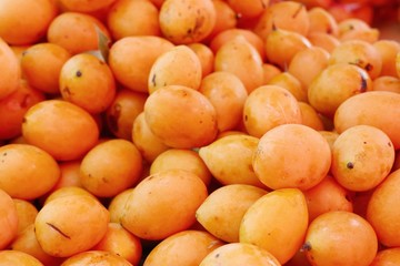 Marian plum fruit - asia fruit