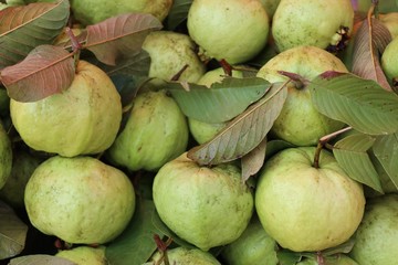 Guava fruit at street food