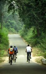 mountain biking in forest