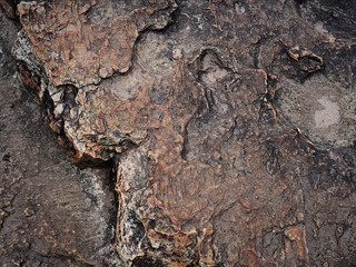 Stone texture. Beautiful stone texture background.