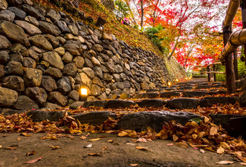 Stone step pathway in autumn landscape ,yellow, orange and red colorful autumn trees , Colorful foliage and light up in park at Kyoto ,in Japan.