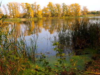 lake in autumn