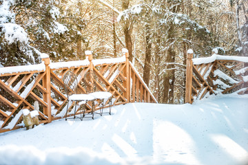 Closeup of wooden deck of house with chairs trees in forest in backyard with snow covered wood floor during blizzard white storm in Virginia with sunlight morning sunrise