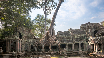Preah Khantomb raider temple in cambodia with giant tree