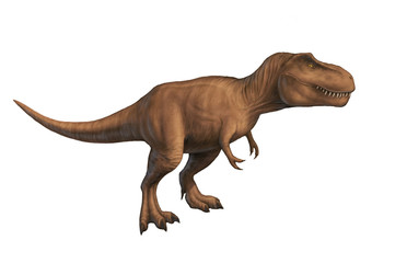 Tyrannosaurus rex isolated