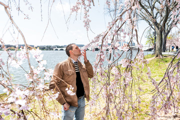 Washington DC, USA tourist people young man standing by cherry blossom sakura tree branch in spring with potomac river memorial bridge on national mall smelling flowers