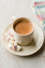 Healthy Homemade Milk Babyccino with Marshmallows and Cocoa / Cinnamon Powder