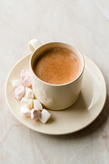Healthy Homemade Milk Babyccino with Marshmallows and Cocoa / Cinnamon Powder