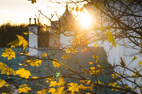 Autumn foliage and some chutch on background. sunny day.