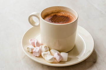 Healthy Homemade Milk Babyccino with Marshmallows and Cocoa / Cinnamon Powder