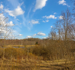 Cloudy day in early spring. Abandoned farm buildings. Russia. Leningrad region.