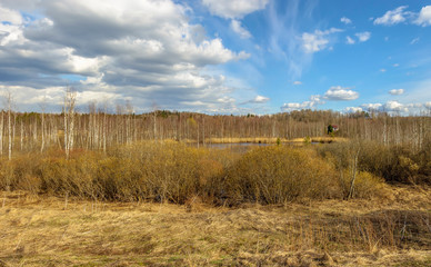 Cloudy day in early spring. Abandoned farm buildings. Russia. Leningrad region.