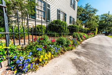 New Orleans, USA Old historic Garden district in Louisiana famous town city sidewalk street with...