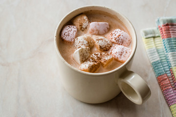 Healthy Homemade Milk Babyccino with Marshmallows and Cocoa / Cinnamon Powder