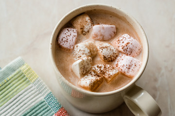 Healthy Homemade Milk Babyccino with Marshmallows and Cocoa / Cinnamon Powder