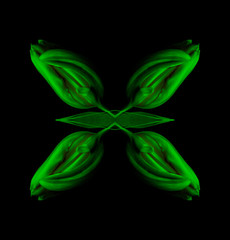 Surrealistic symmetrical geometrical low key neon colored pattern made with a macro of an isolated yellow green closed tulip blossom on black background with detailed texture and leaf
