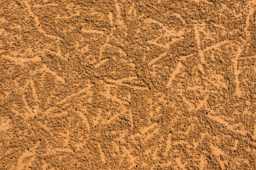Patterns of sand by the sea.19