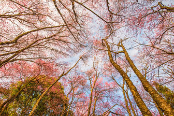 Day of seasonal flowers in full bloom.3
