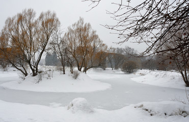 Fototapeta premium Winter forest in the North of Russia