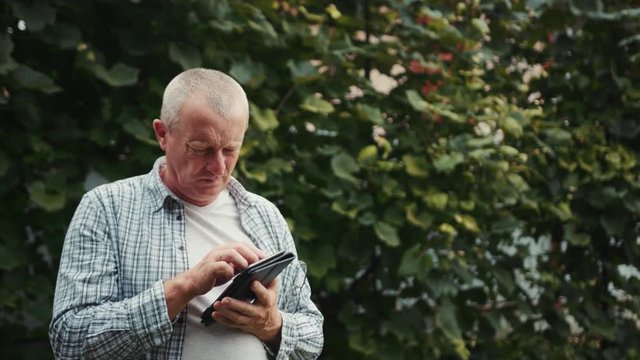 Farmer man with glasses use tablet computer stand grapes traceability and growing for the production agriculture green nature ripe technology vineyard beauty business working leaf close up slow motion