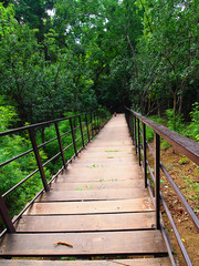 Fototapeta premium wooden bridge in the forest