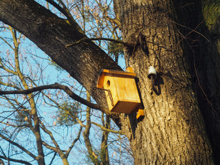 birdhouse on tree
