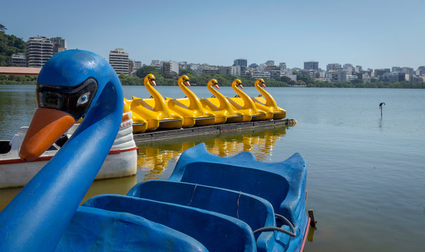 Pedalinhos na Lagoa Rodrigo de Freitas, Rio de Janeiro, Brasil