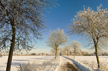 Winter am Niederrhein