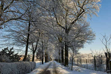 Winter am Niederrhein