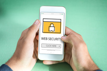 WEB SECURITY CONCEPT ON SCREEN