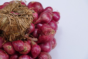 spanish onion on clear background 