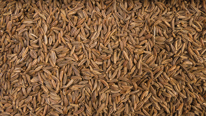 Caraway seeds background. Natural seasoning texture.