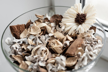 Beautiful still life. Brown and beige flowers and plants in glass plate. Floral decoration on white background